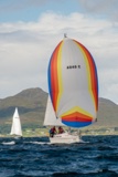 lemarac 4040c whyw22 thur 800_2651yi